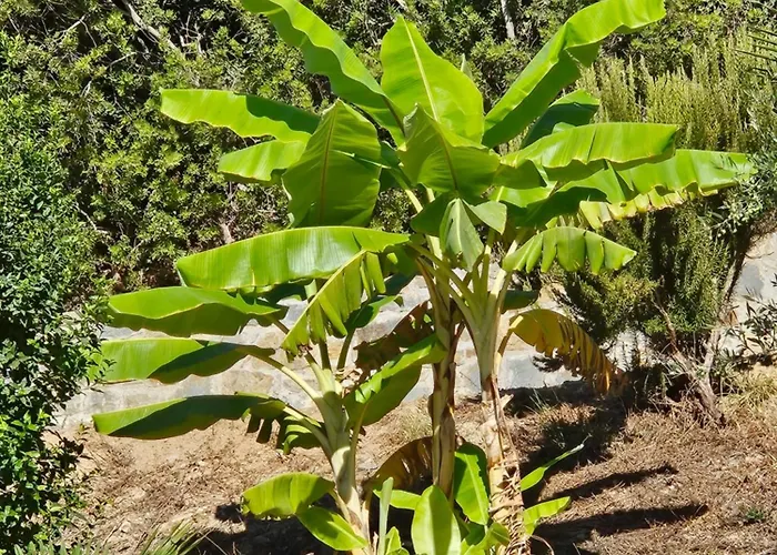 Сasa de vacaciones Vrisoules Poolvilla Methoni (Messenia)