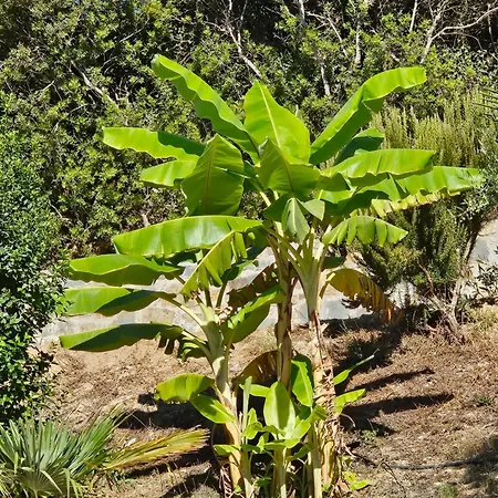 Vakantiehuis Vrisoules Poolvilla Methone